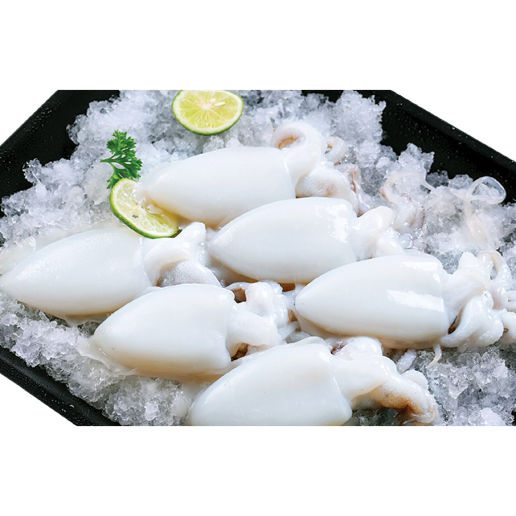 cumi sotong/ sotong bersih/ sotong frozen