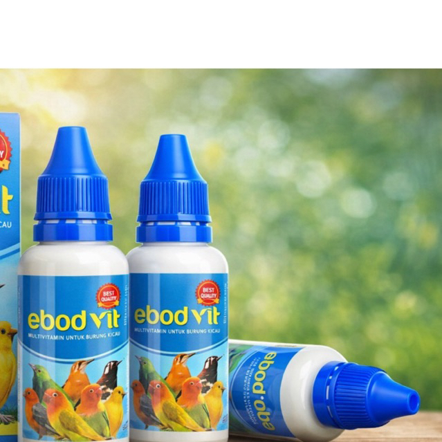 EBOD VIT VITAMIN KENARI