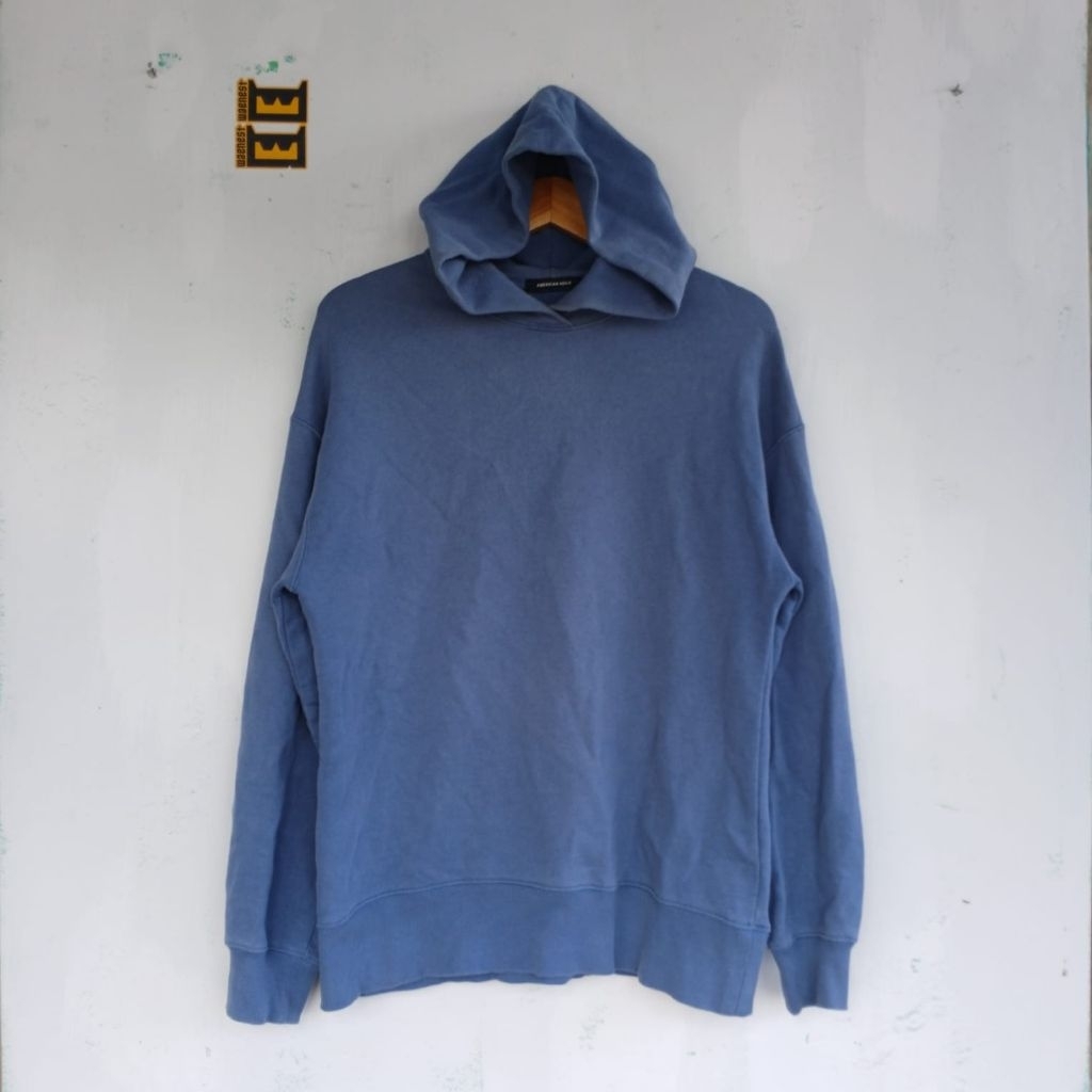 Hoodie American Holic