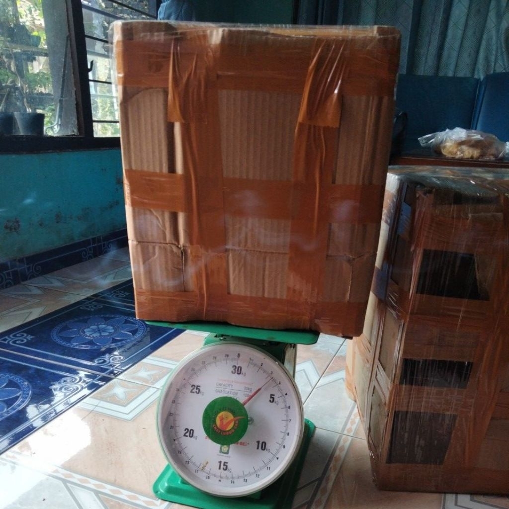 link co 3,5kilo bonsai anting putri