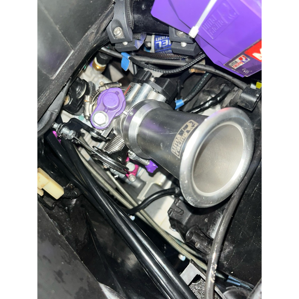 tb Mx king 32 uma racing