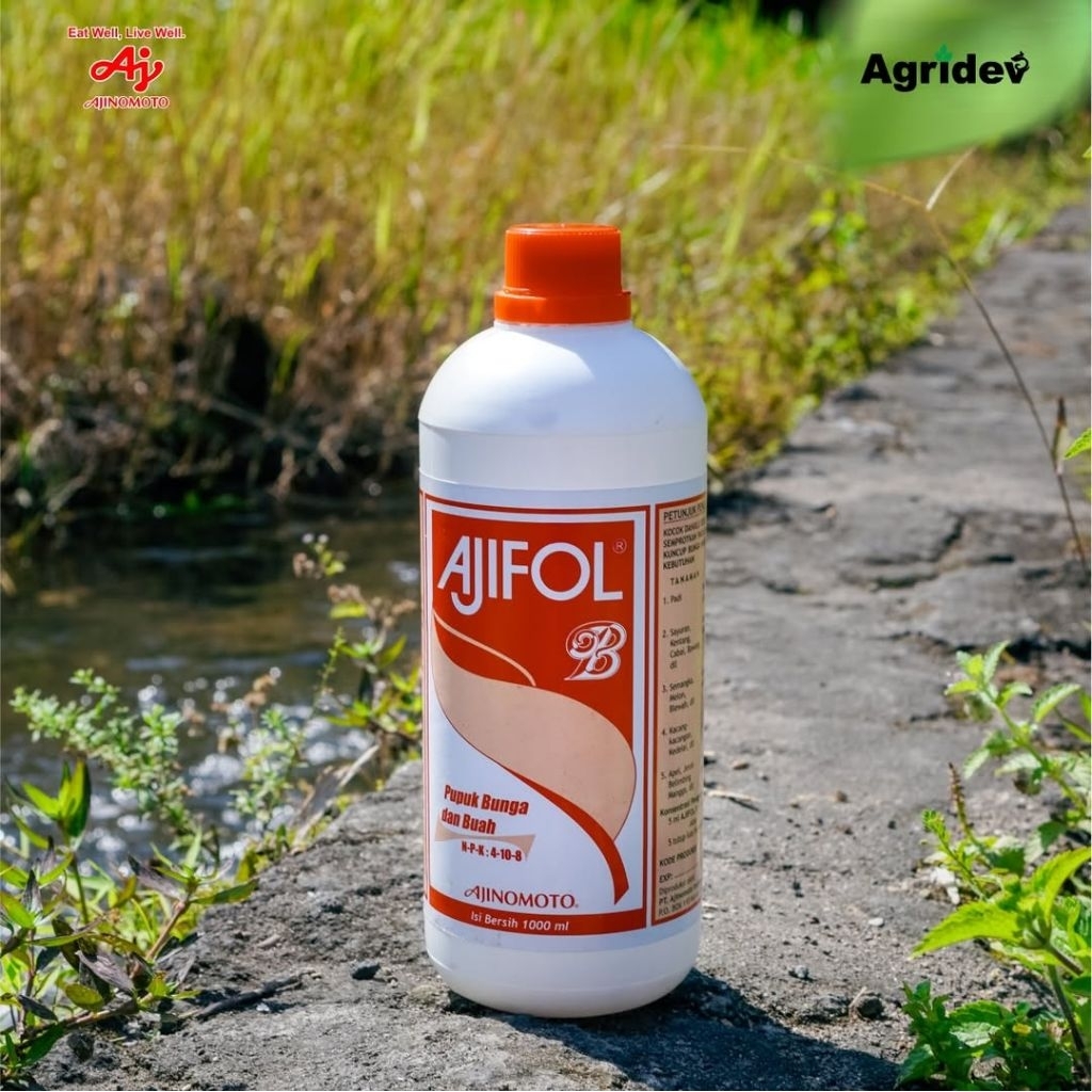 PUPUK BUAH AJIFOL B MENDORONG PERTUMBUHAN BUAH