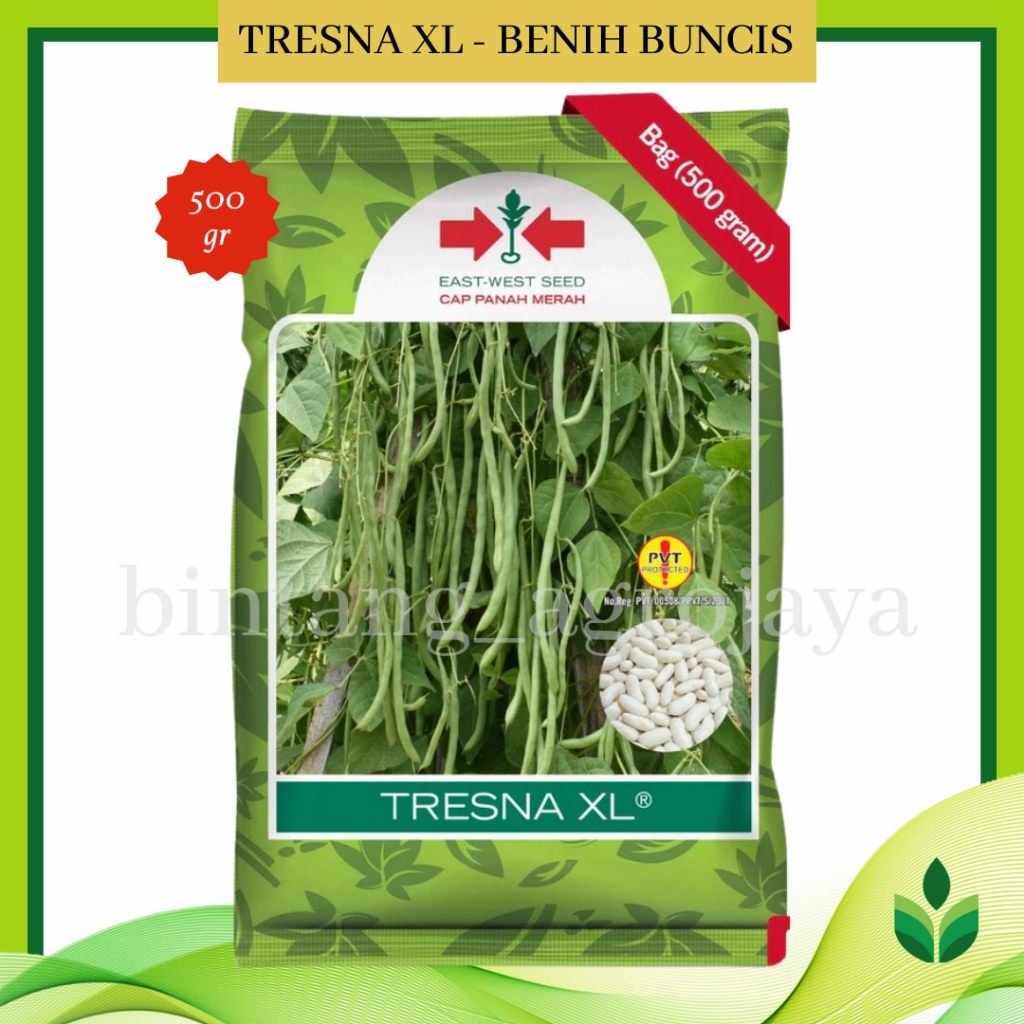 Benih Buncis Tresna XL 500 Gr - Cap Panah Merah