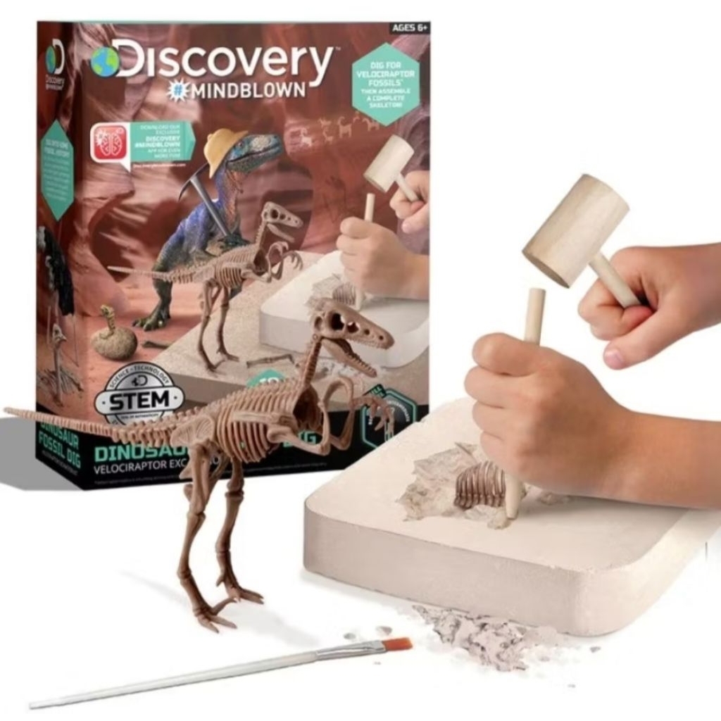 DISCOVERY MINDBLOWN DINOSAUR FOSSIL DIG VELOCIRAPTOR EXCAVATION KIT SKELETON MAINAN EDUKASI ANAK ORI