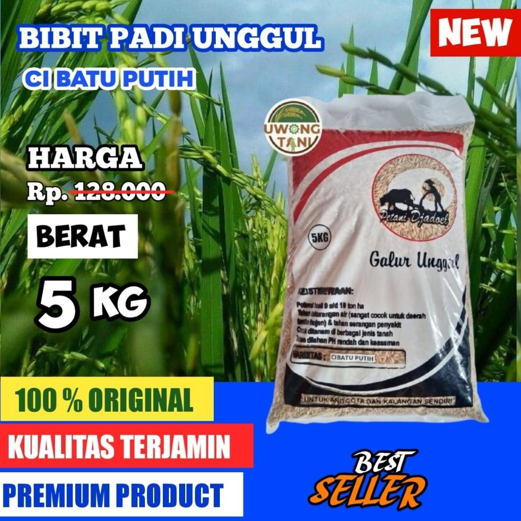 BENIH PADI BIBIT PADI UNGGUL CIBATU PUTIH  5 KG