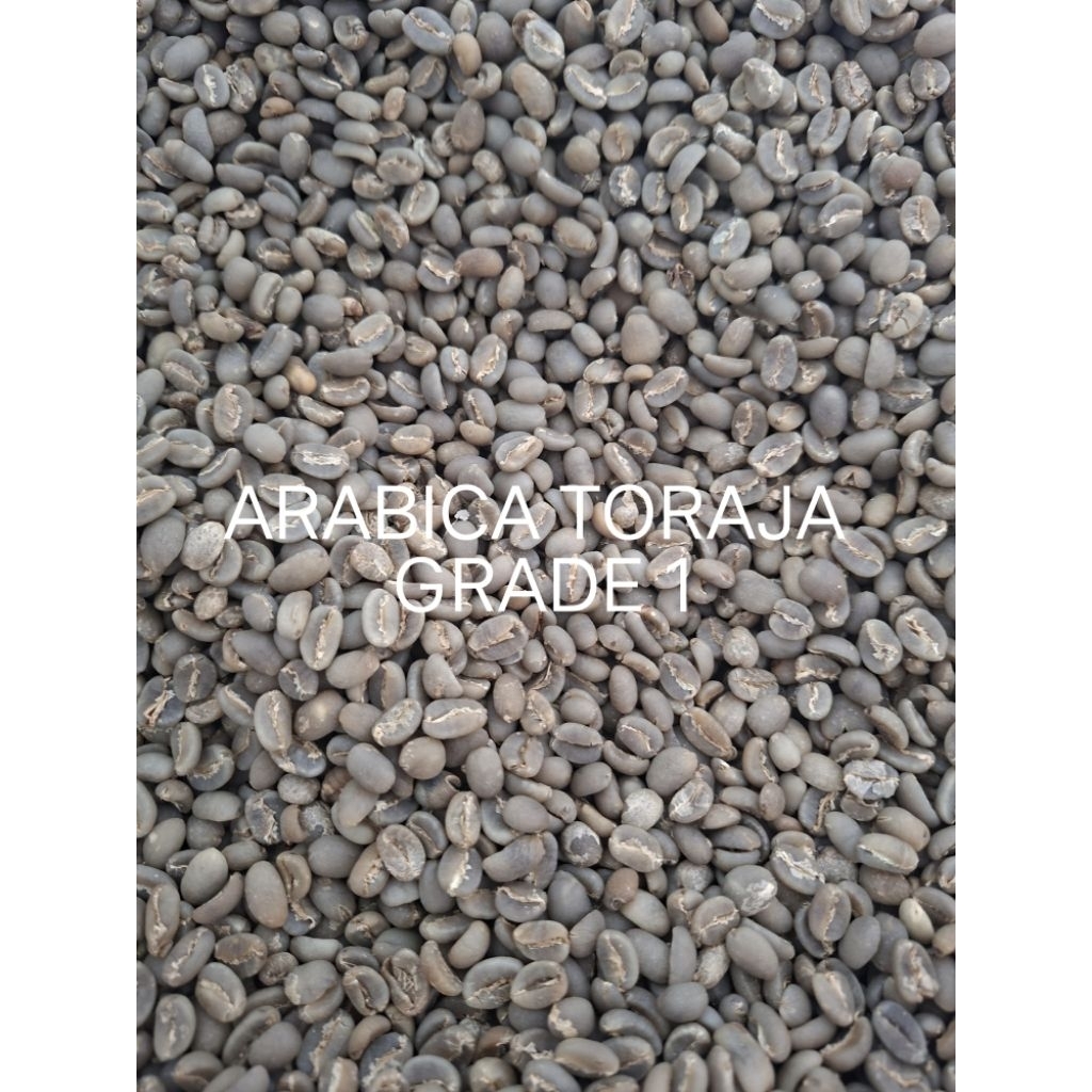 KOPI ARABICA TORAJA SAPAN GREEN BEAN GRADE 1