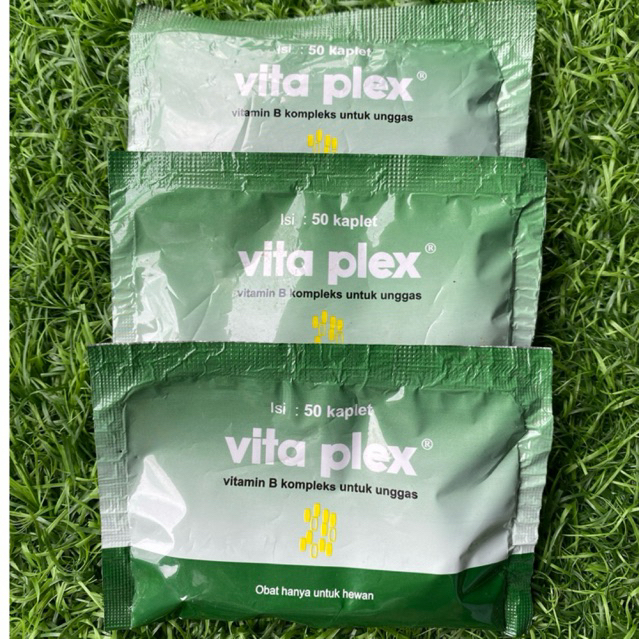 vita plex vitamin B kompleks isi 50 kaplet untuk unggas