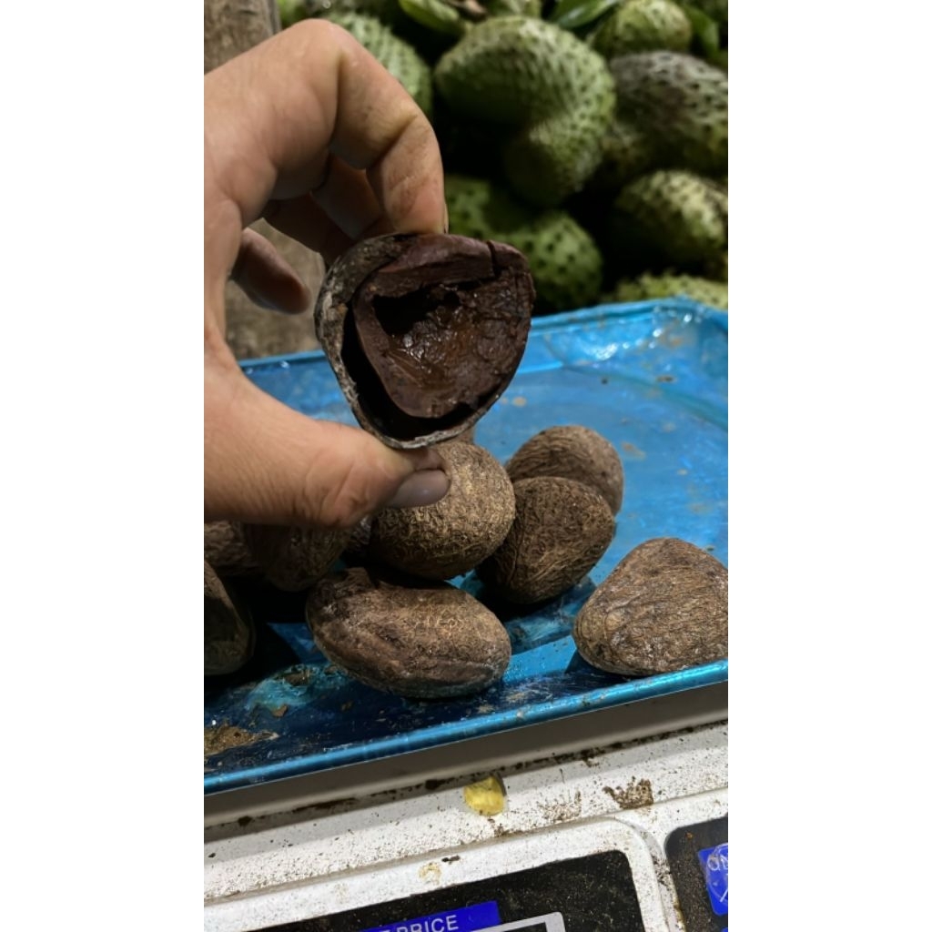 kluwek pucung/picung 1000g