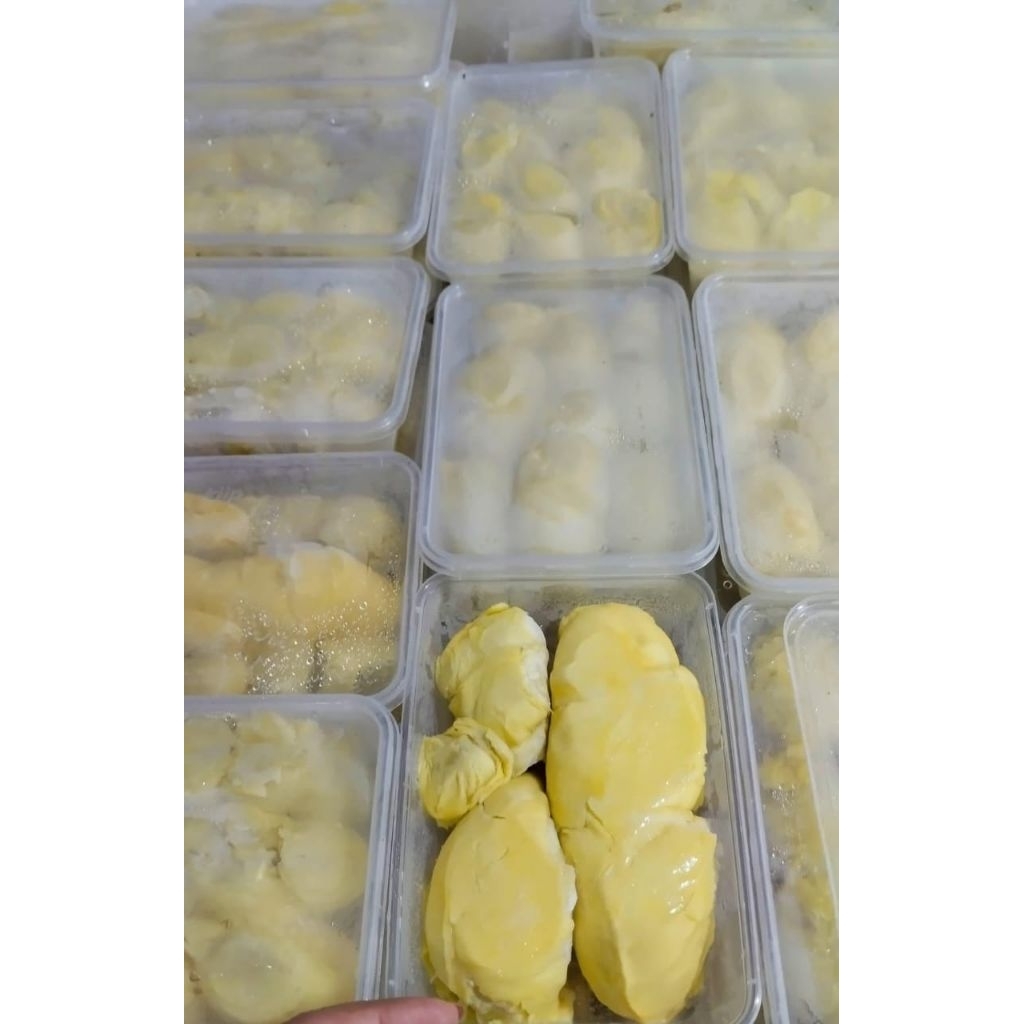 Durian kupas galek 500gr buah segar fresh hanya melayani pengiriman instan