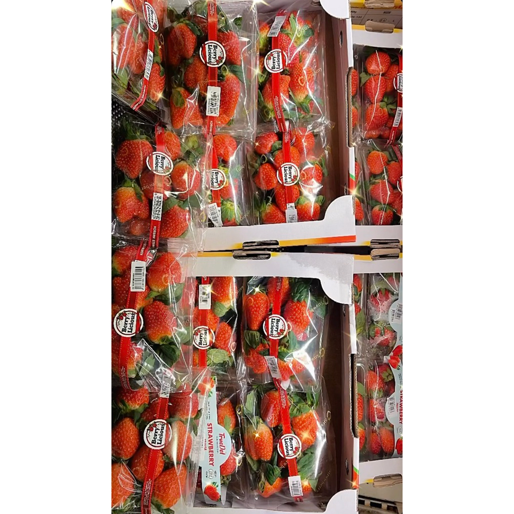 STRAWBERRY KOREA || STOBERI KOREA
