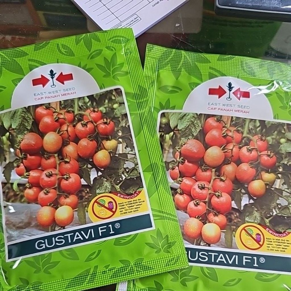 BENIH TOMAT GUSTAVI Panah Merah kemasan 1750 seeds