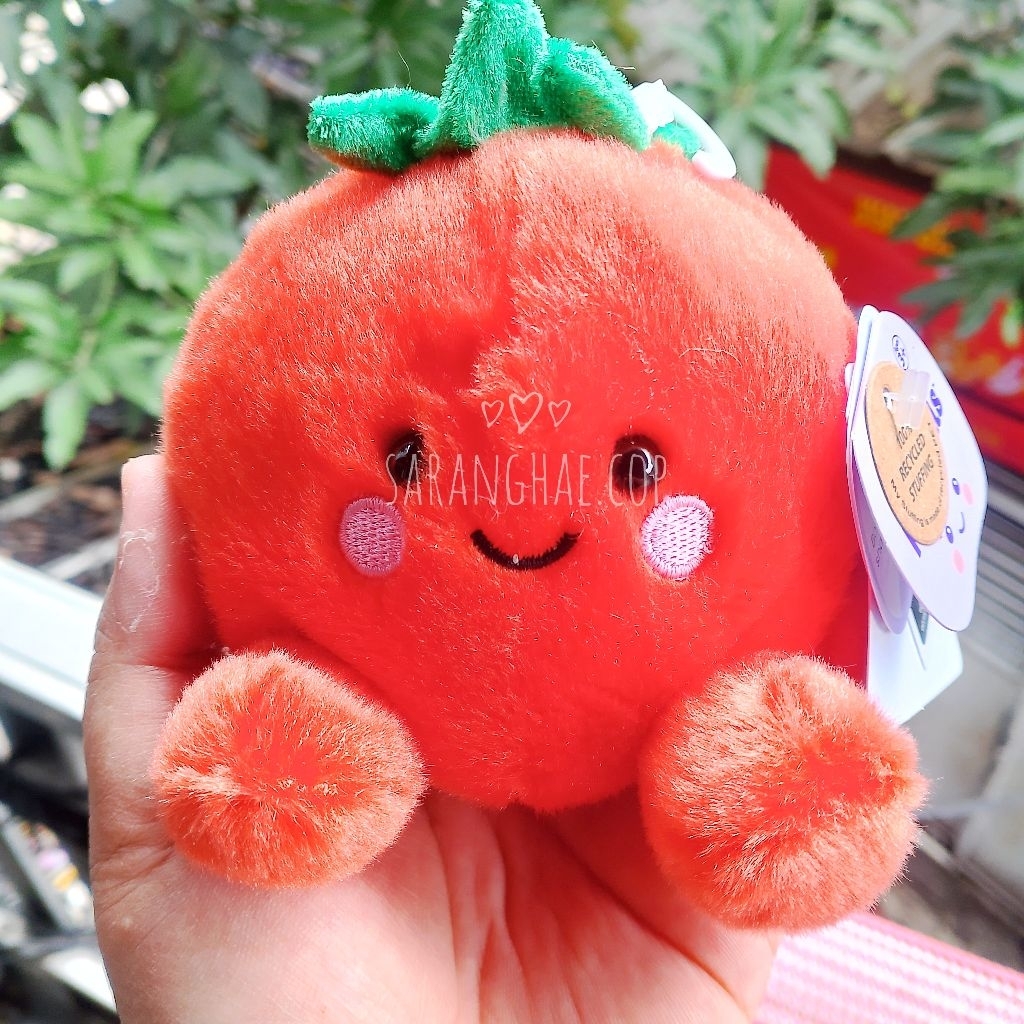 Boneka PalmPals Boyd Tomato Palm Pals Buah Tomat