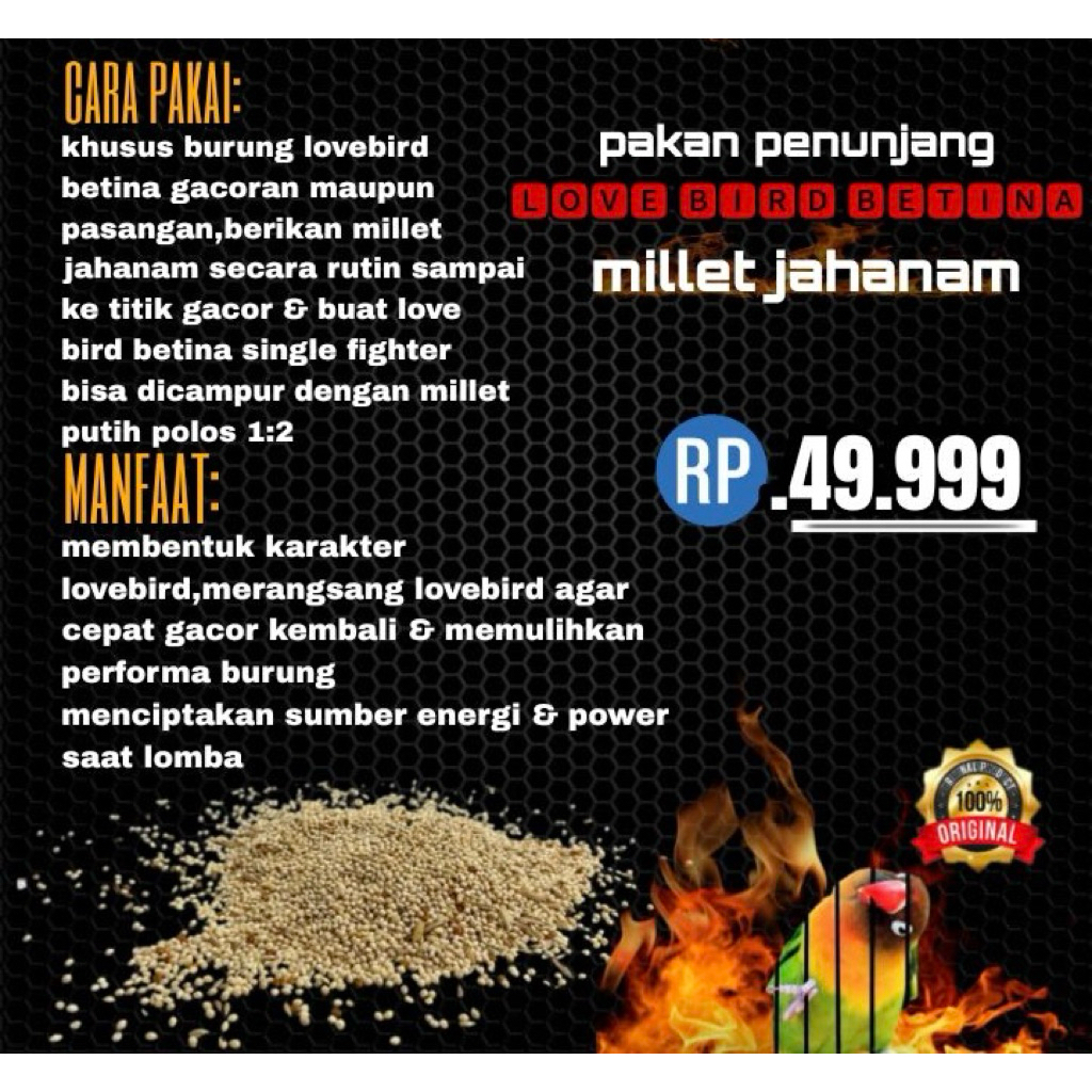 MILET JAHANAM BETINA//Pakan Racikan Lovebird Gacorr