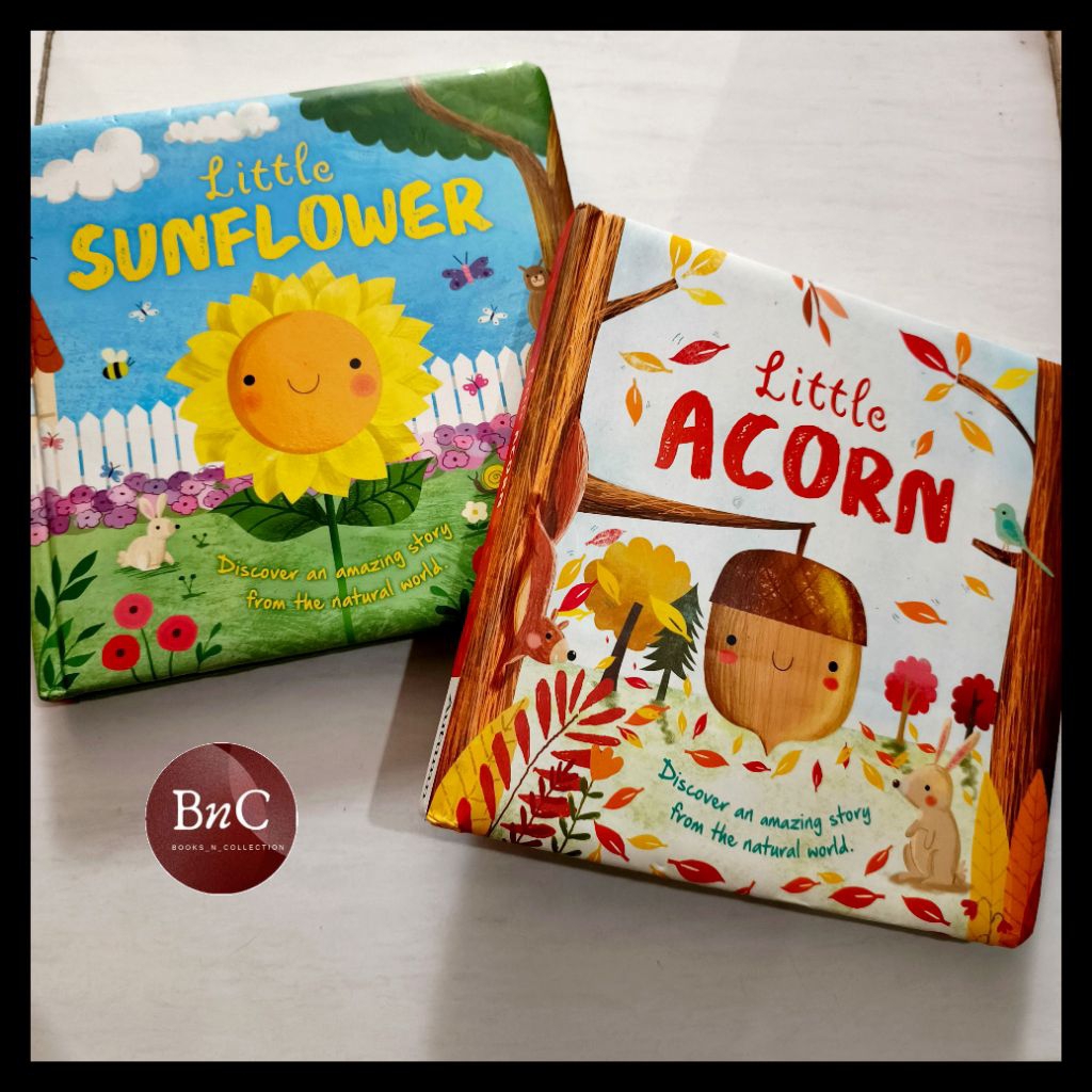 Board book import preloved boardbook anak