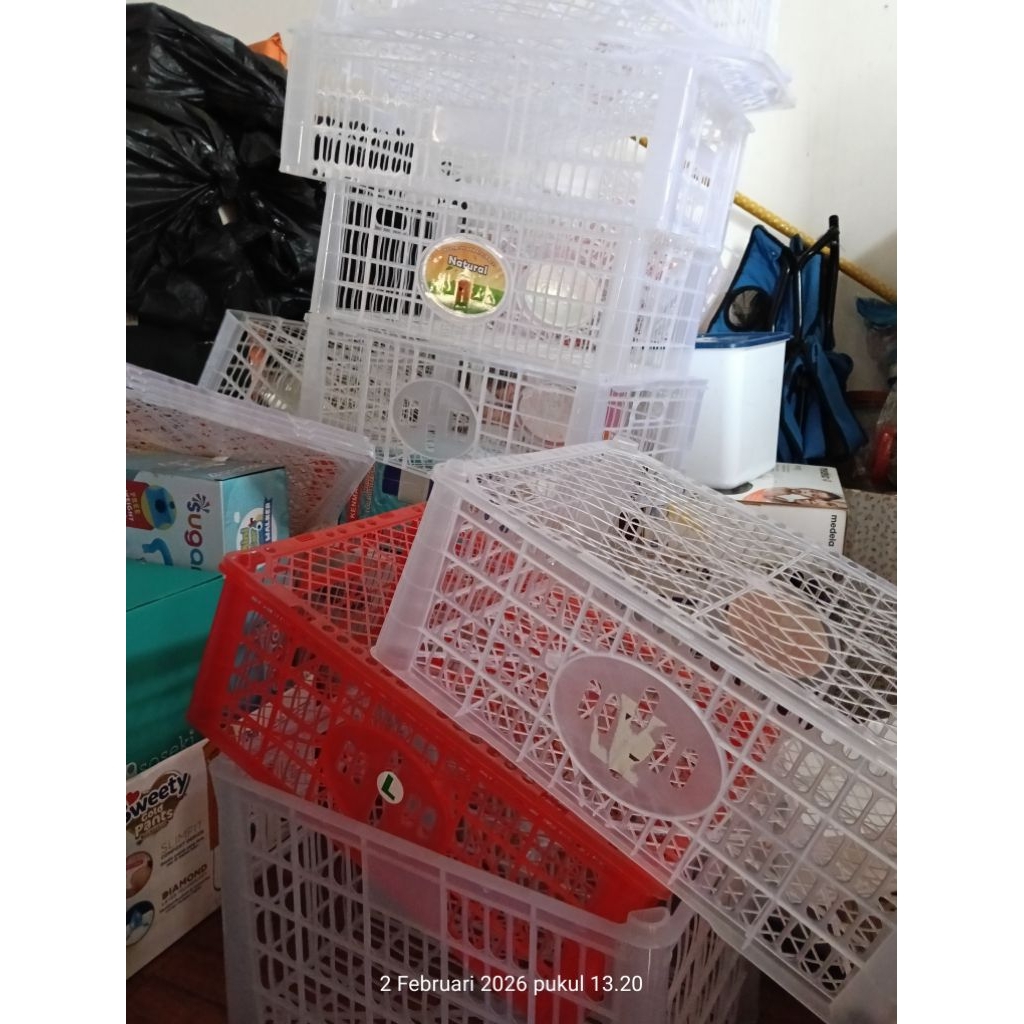 Lagi cari keranjang bekas buah buat rak atau pot bunga Keranjang ini kondisi prelove sudah bersih da