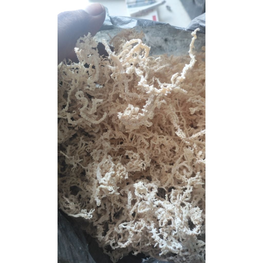 Rumput Laut Kering Kawat 1kg