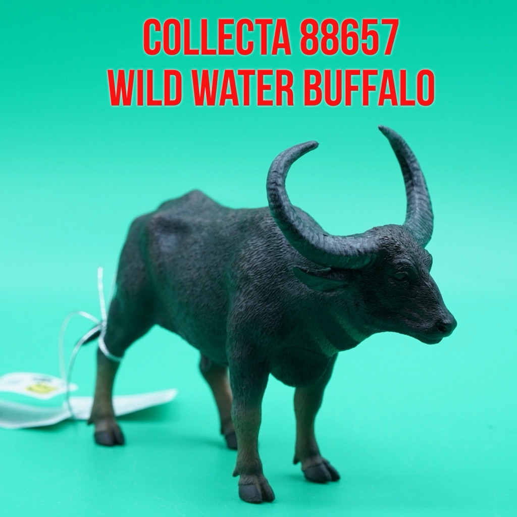 CollectA 88657 Wild Water Buffalo African Buffalo Bubalus Bubalis Kerbau Air Afrika Banteng | | Main