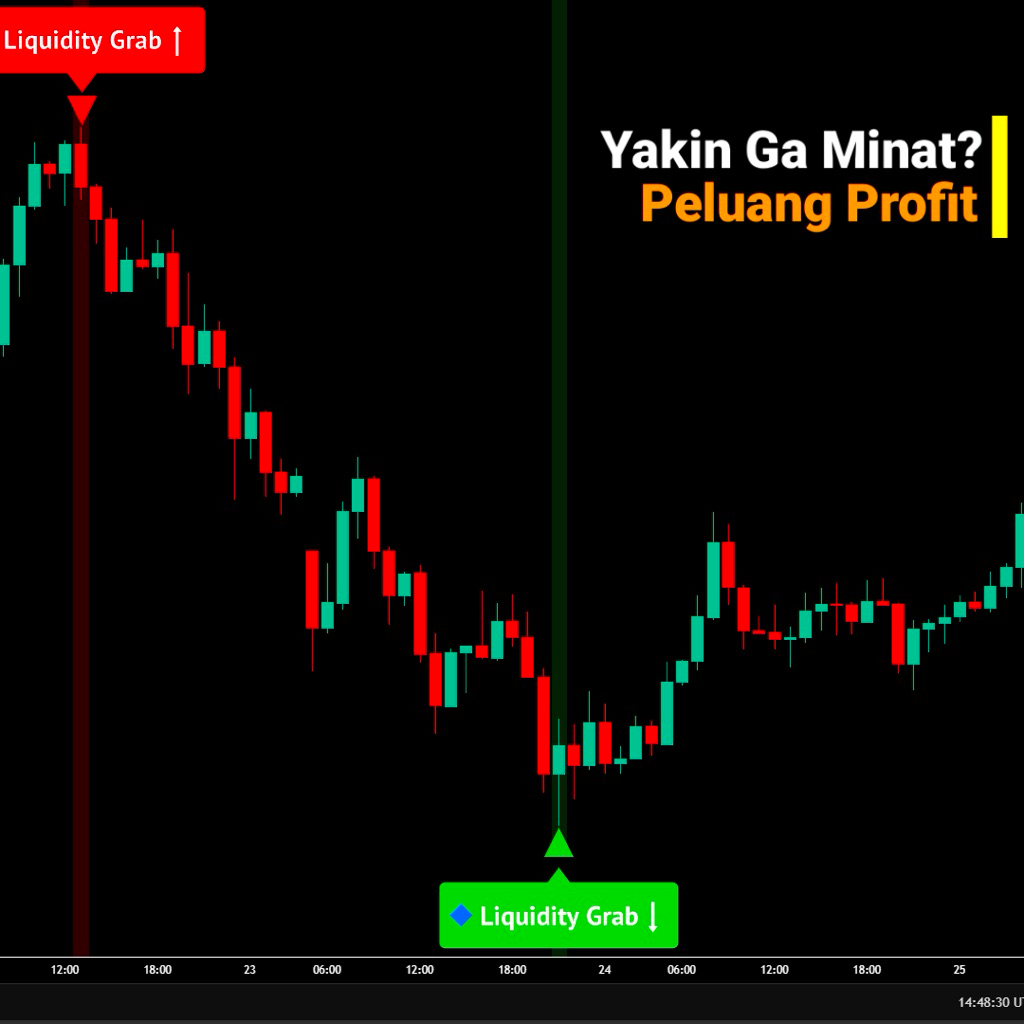 Indikator Pendeteksi Manipulasi Market Liquidity Grab Zone v1 — Lifetime For TradingView