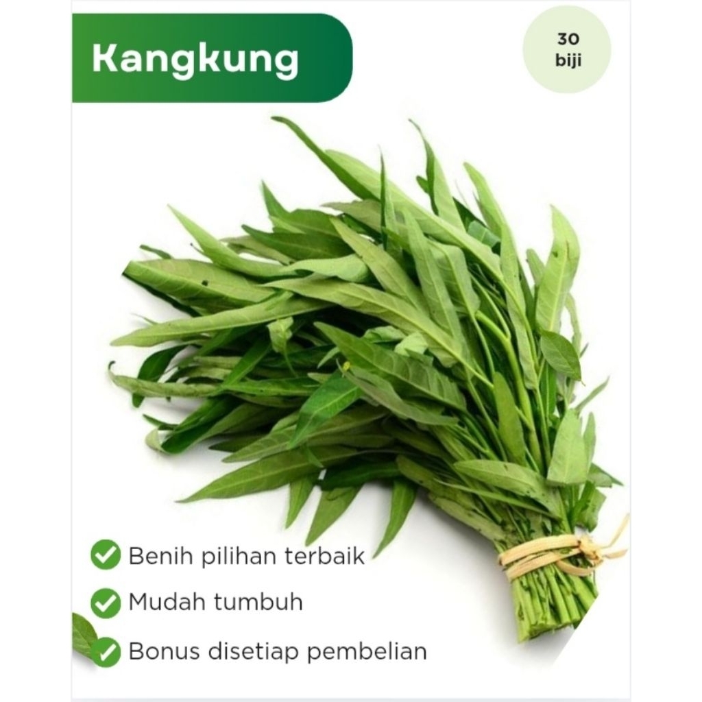 Benih Sayuran Kangkung Daun Sempit Bibit Hidroponik
