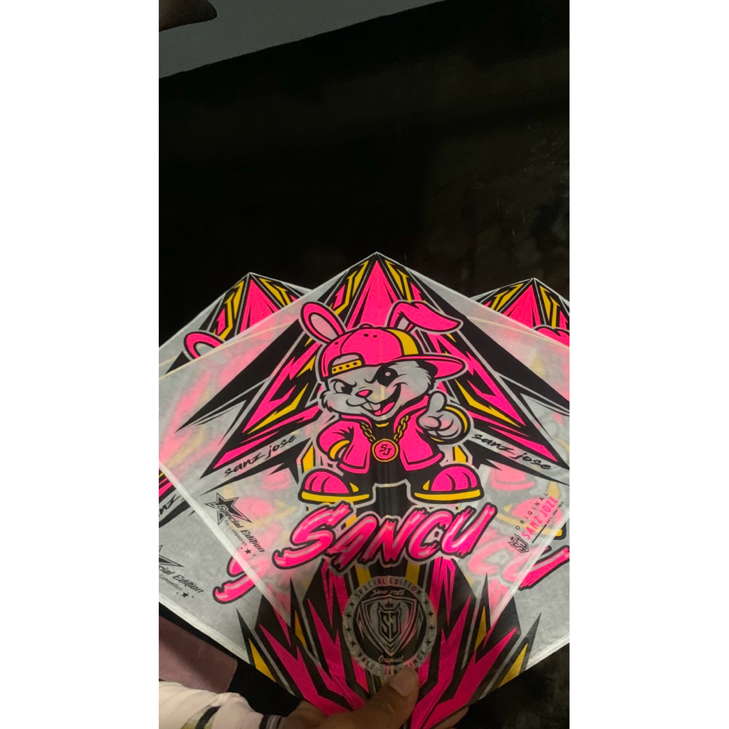 LAYANGAN SANZ JOSE 10PCS MOTIF CAMPUR