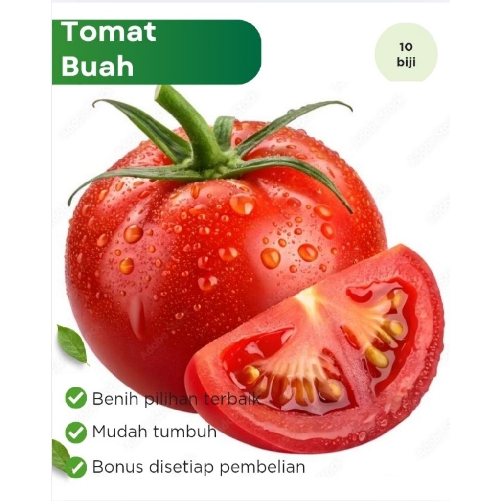 Benih Tomat Buah F1 Hibrida