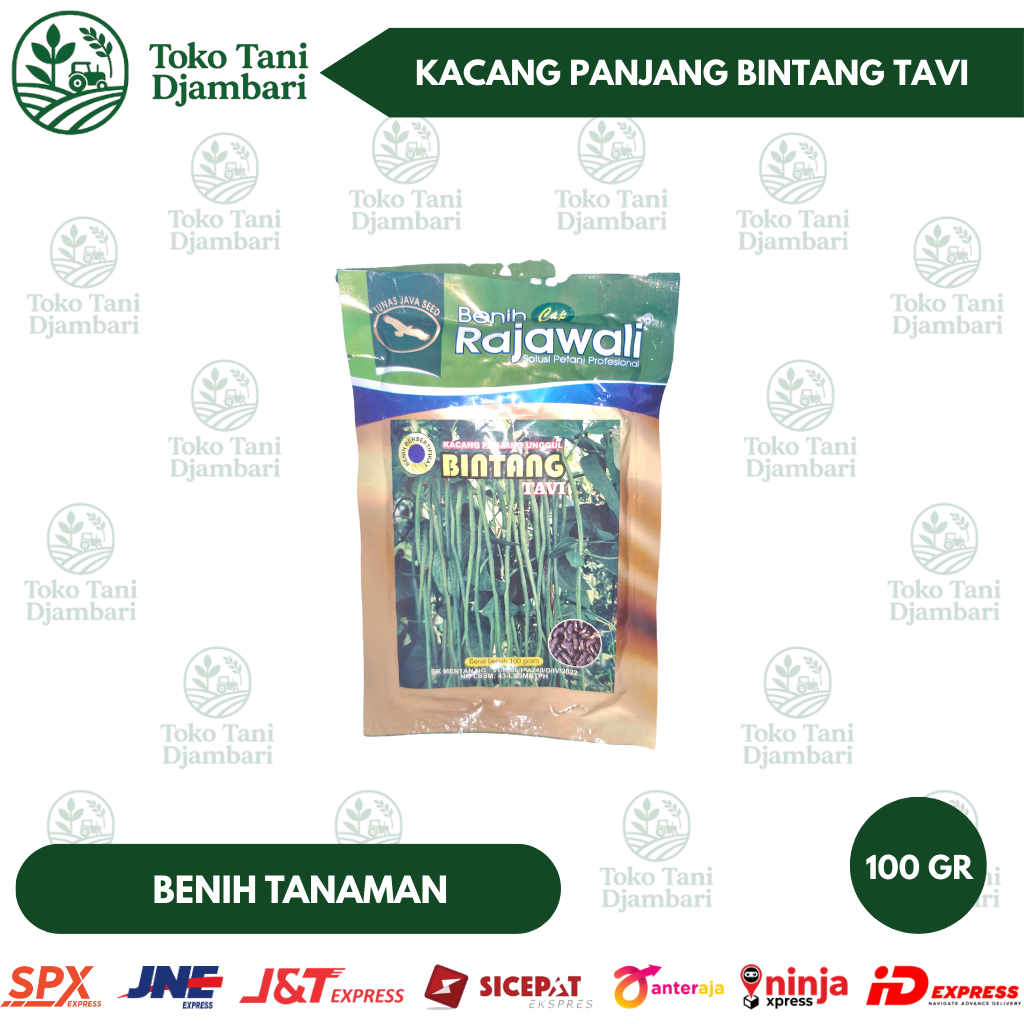 Benih Kacang Panjang Unggul Bintang Tavi Rajawali 100gr – Bibit Kacang Panjang Produktif, Tahan Cuac