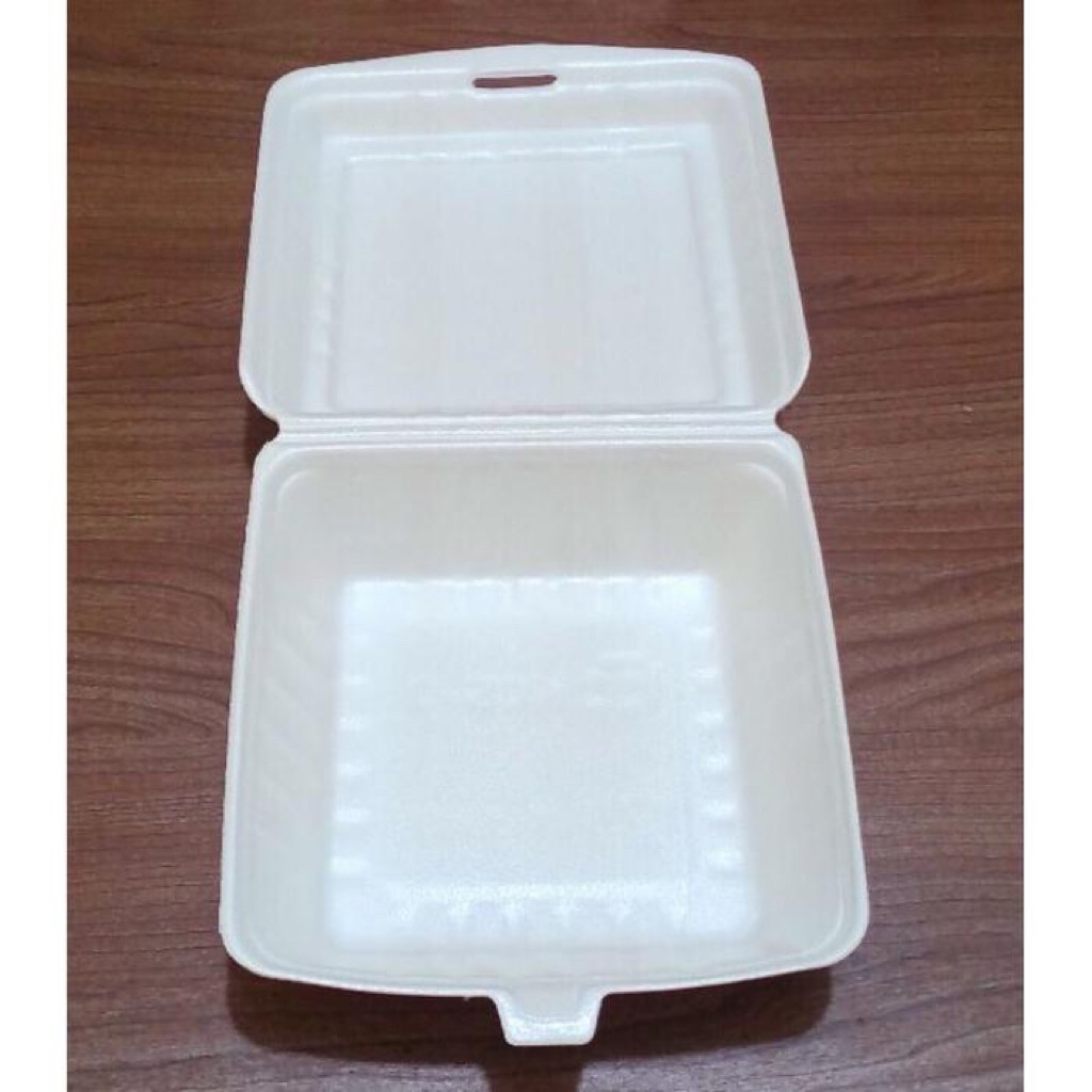 styrofoam nasi kotak