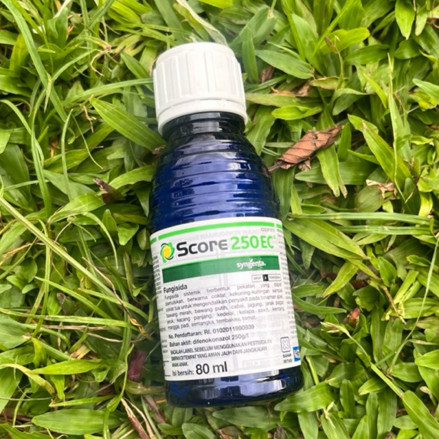 Score 250EC 80ml Original