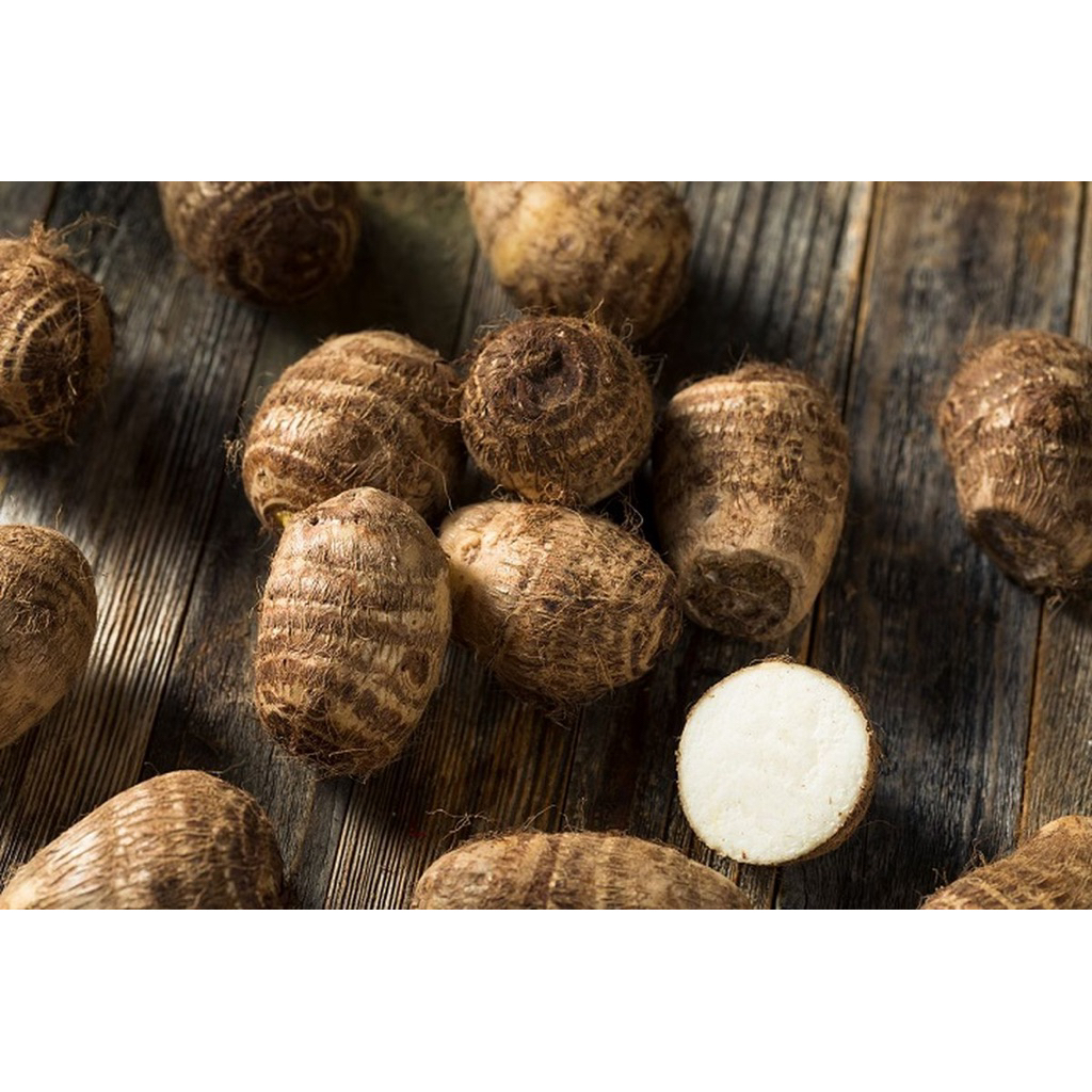 talas satoimo jepang -/+ 1 kg