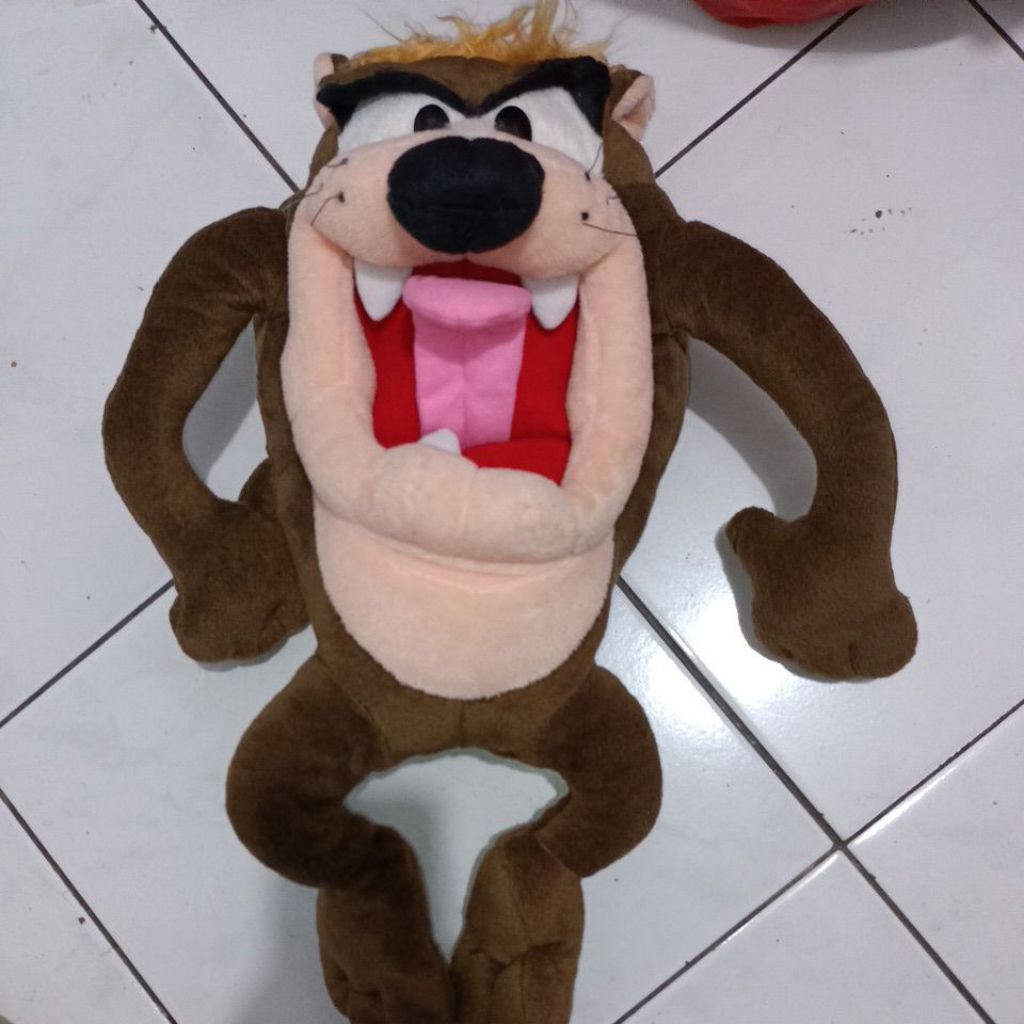 Tazmania