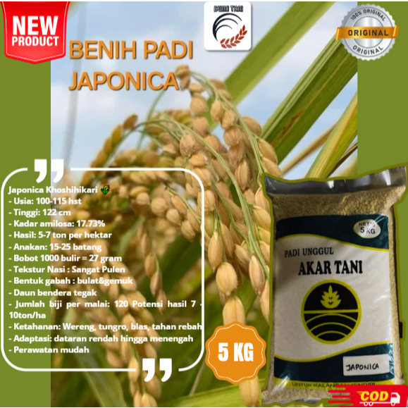 BENIH PADI JAPONICA KOSHIHIKARI KEMASAN 5KG ORIGINAL BIBIT PADI JAPONICA UNGGUL