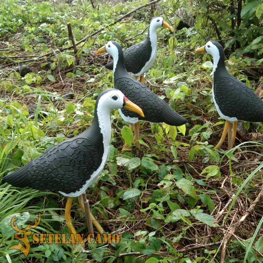 JONTROT BURUNG RUAK-RUAK / DECOY BURUNG KAREO (SC2552)