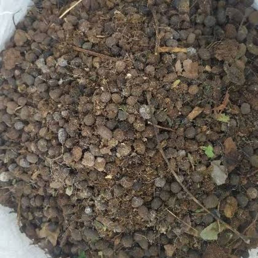 kohe kambing fermentasi alami 1kg