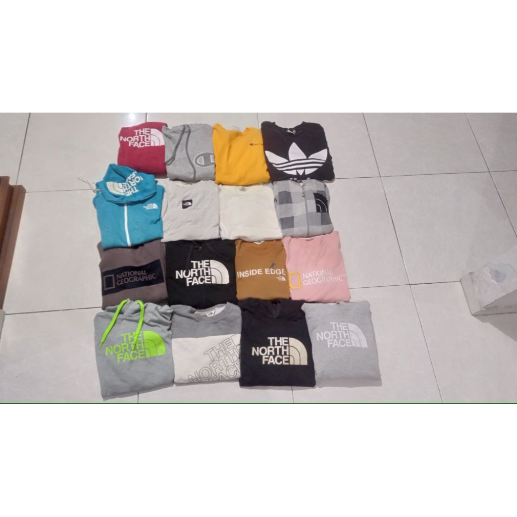 Hoodie Crewneck TNF Natgeo & Champion