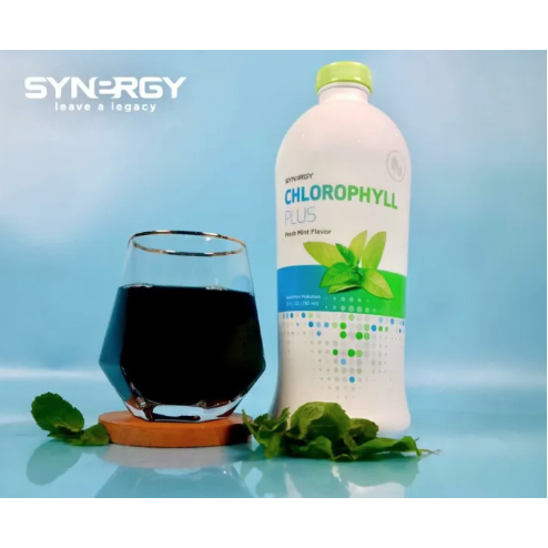 CHLOROPHYLL PLUS (25 Oz) Synergy Minuman Hijau Alami