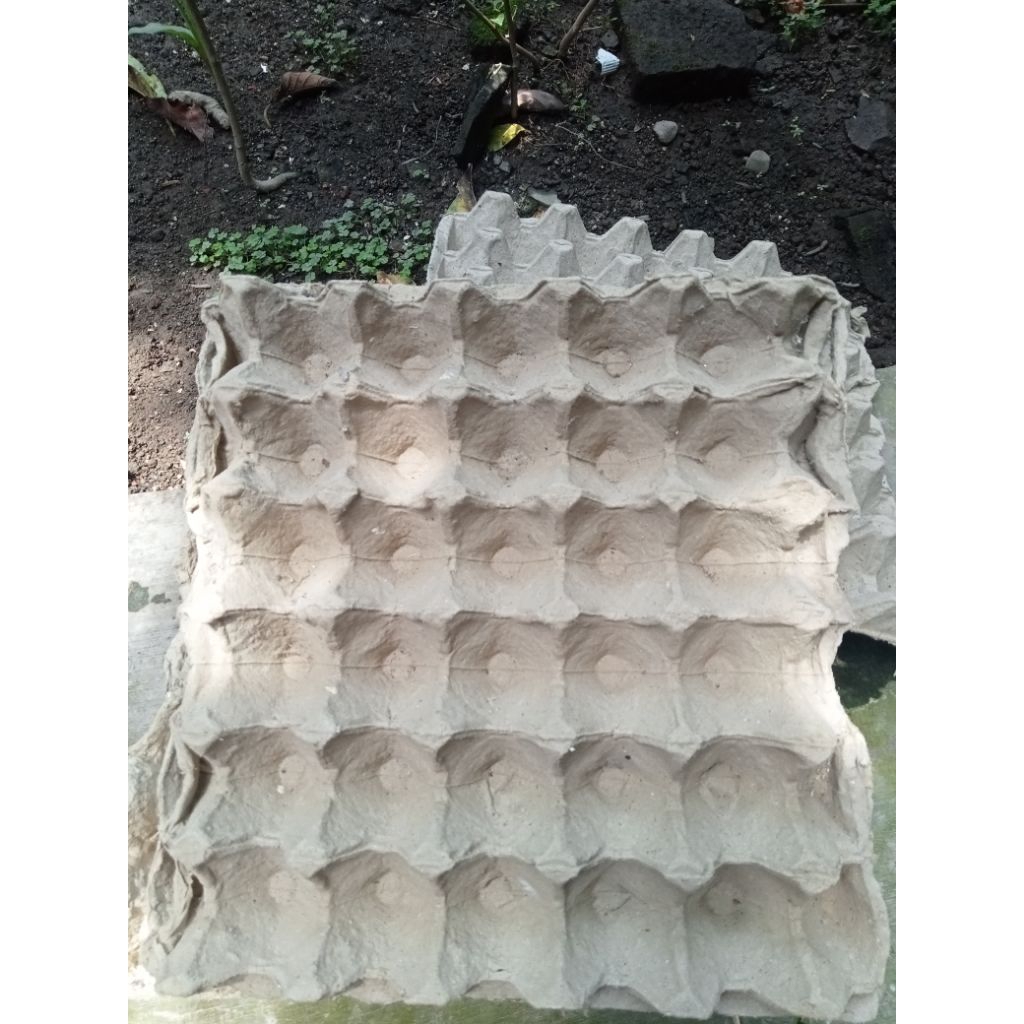 Egg tray bekas