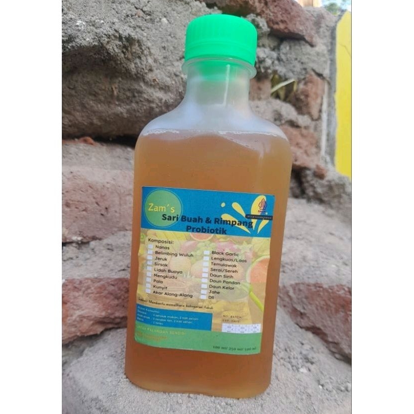 fermentasii Rimpang buah (probiotk)