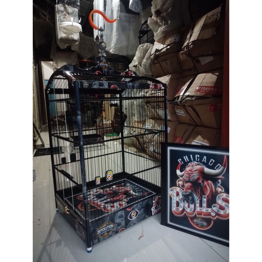 sangkar Ebod Jaya Evolution redbulss No 2