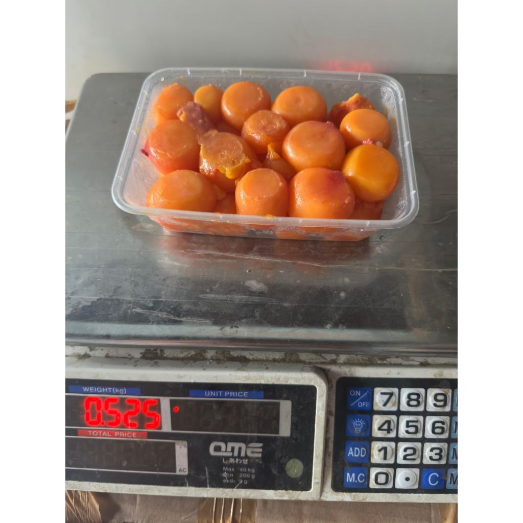 telur muda ayam /telurnya aja