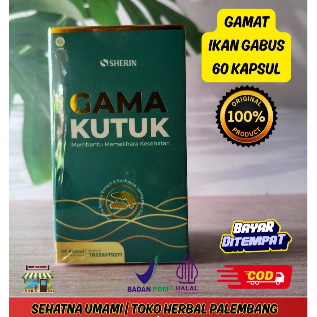 GAMAKUTUK | KAPSUL GAMAT KUTUK 60 KAPSUL | GAMAT IKAN GABUS | TERIPANG GAMAT EMAS MEMBANTU MEMELIHAR