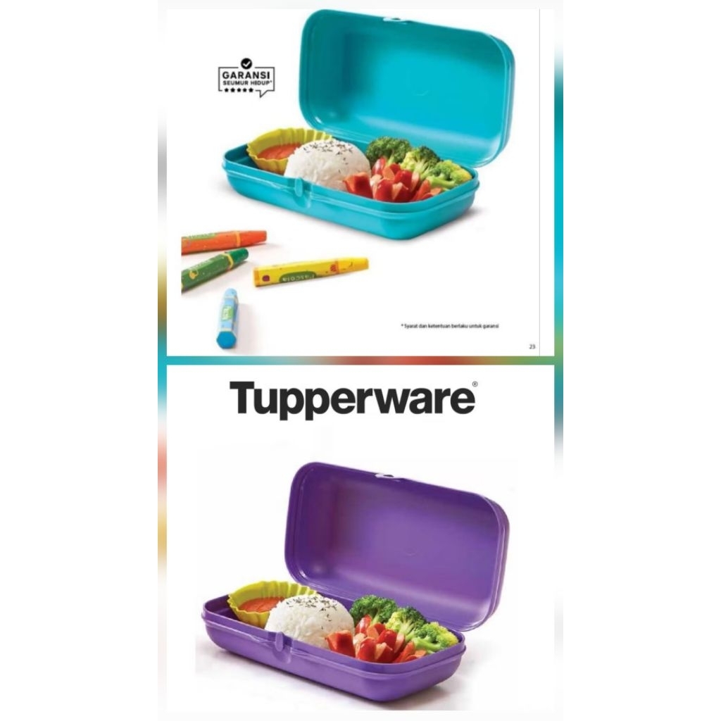 Oyster tupperware (1 )