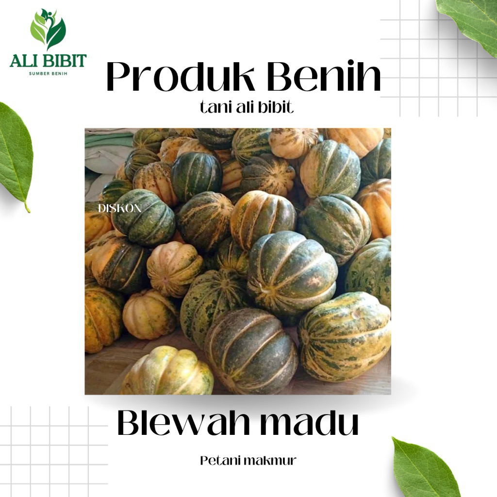 10 Butir > Biji Benih Blewah madu > Bibit Blewah madu >Bonus Benih