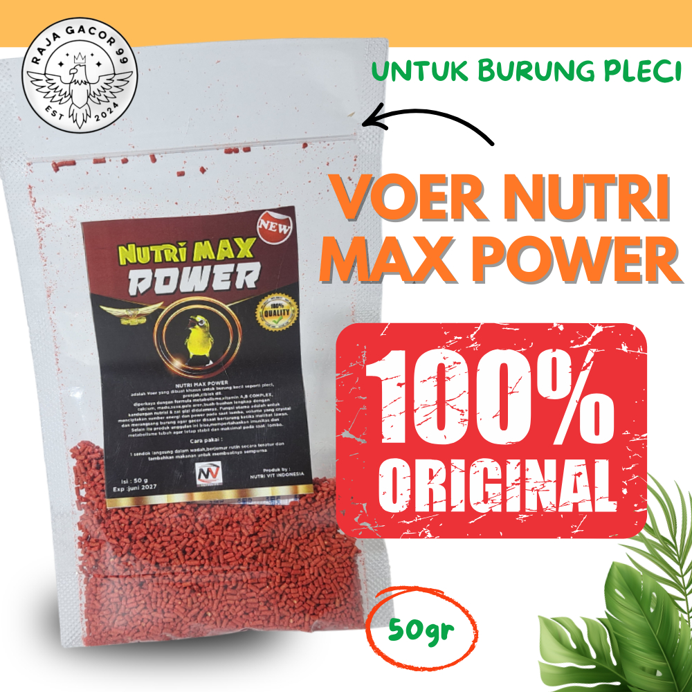 VOER NUTRI MAX POWER Voer Burung Pleci menciptakan sumber energi power volume yang mengkristal gacor