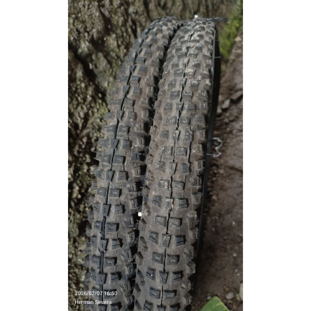 ban sepeda luar dalam mrek entity spiderbait