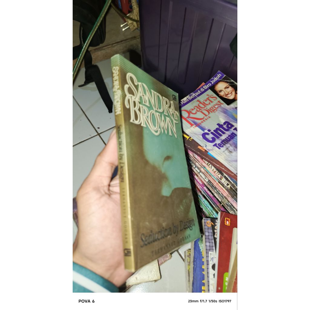 NOVEL SANDRA BROWN TERHANYUT GODAAN