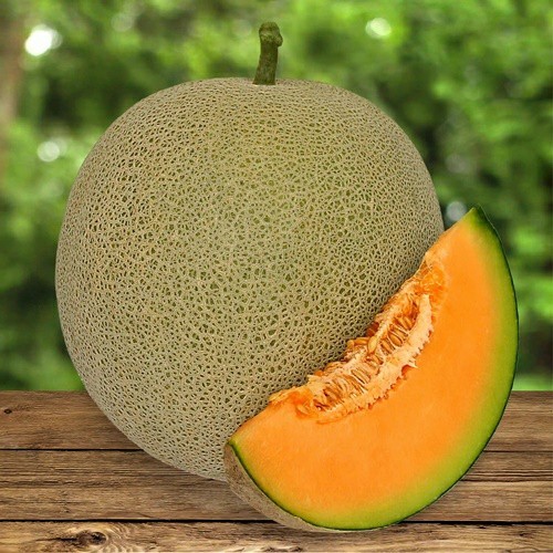 1 Biji Benih Melon MERLIN F1