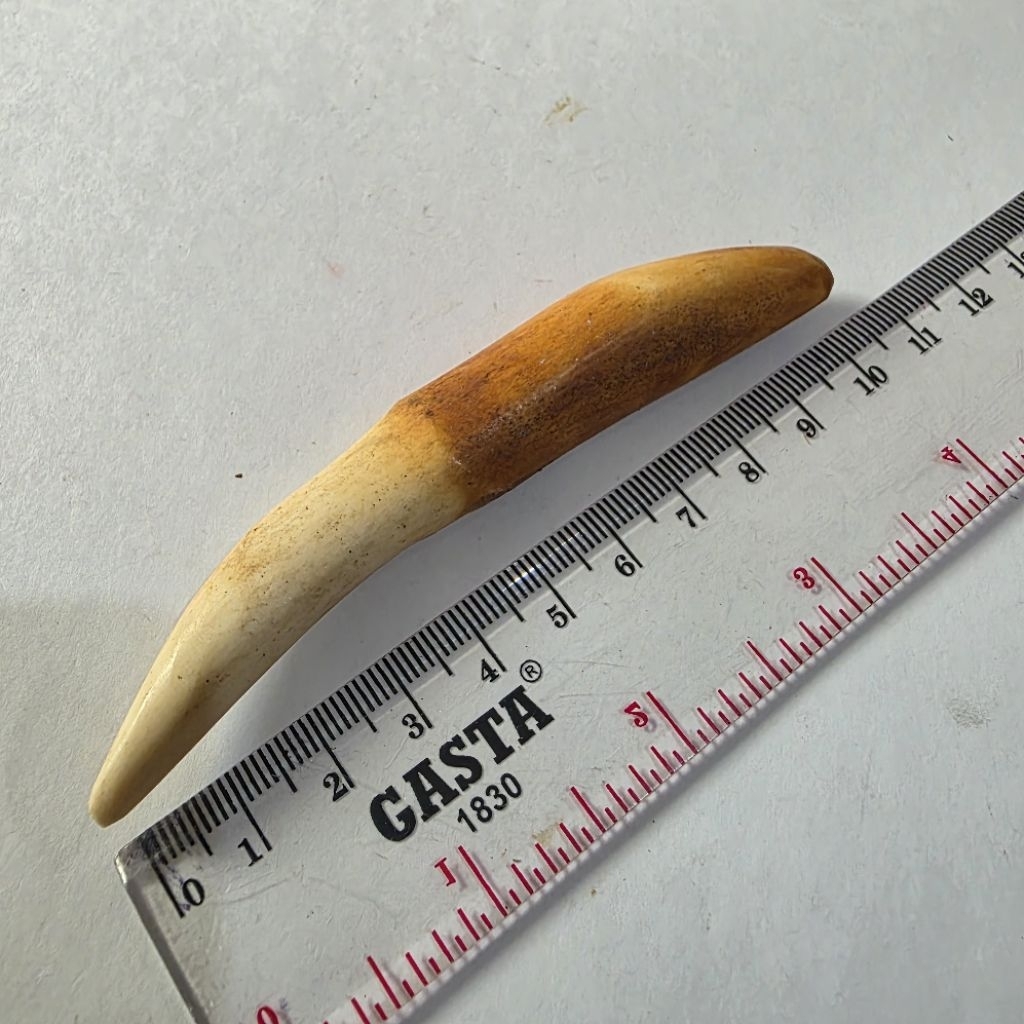 Leontin Untuk Kalung Tarcan Kucan