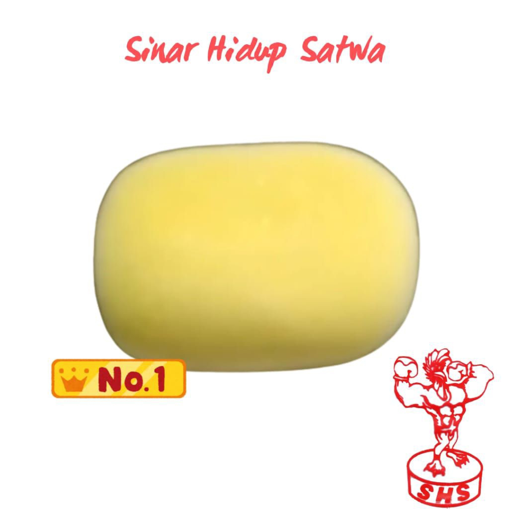 SPON BUSA BULAT MANDI AYAM