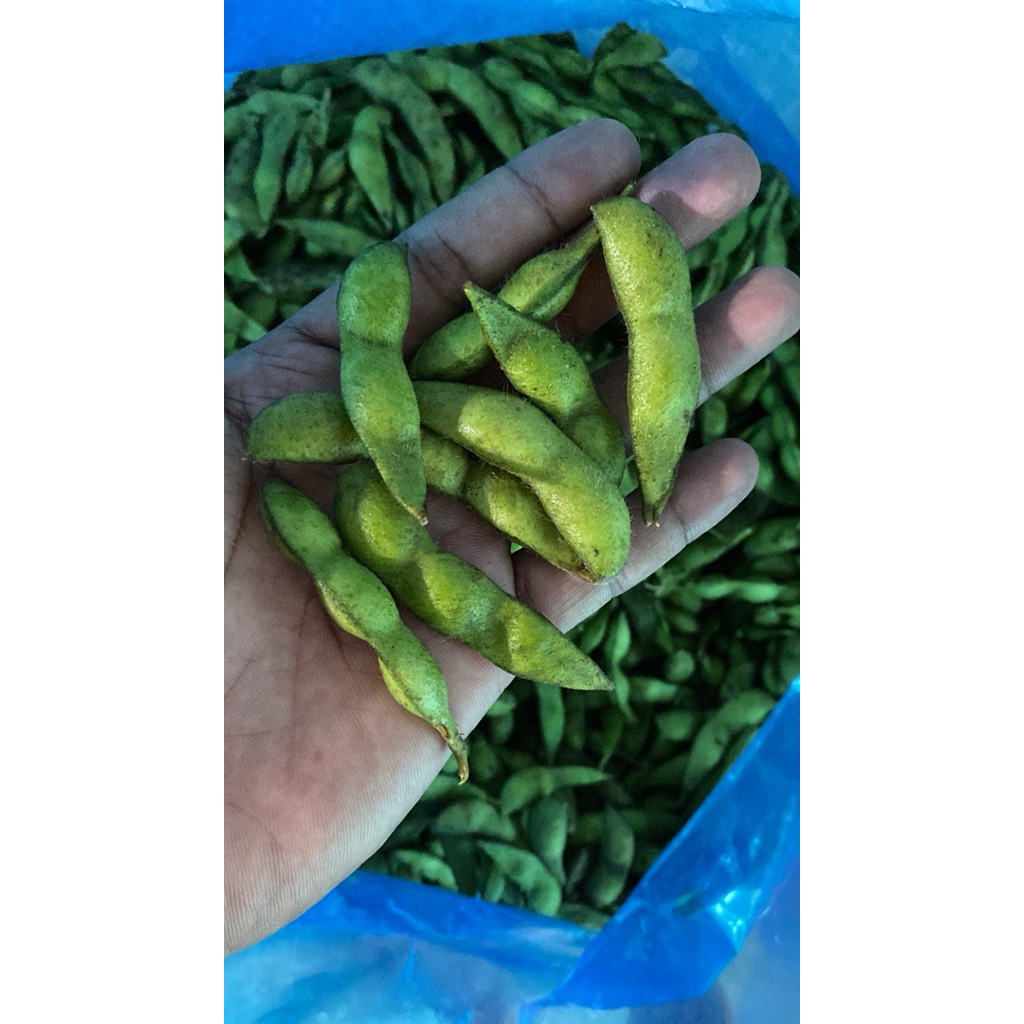 Edamame mentah 500gr-1000gr