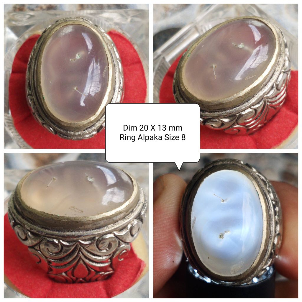 Batu Rafflesia Combong Serambut Angka 8